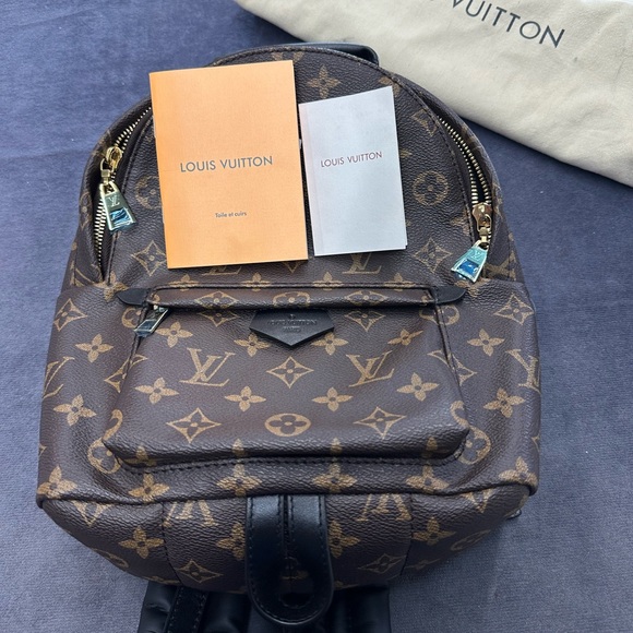 Louis Vuitton Palm Springs Monogram PM Backpack - Picture 3 of 11